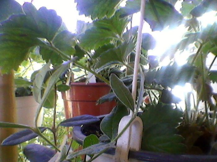 Photo-0177