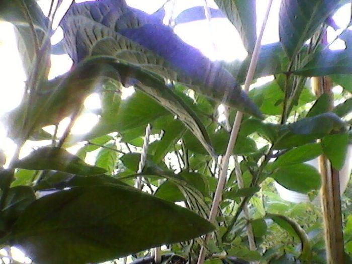 Photo-0178
