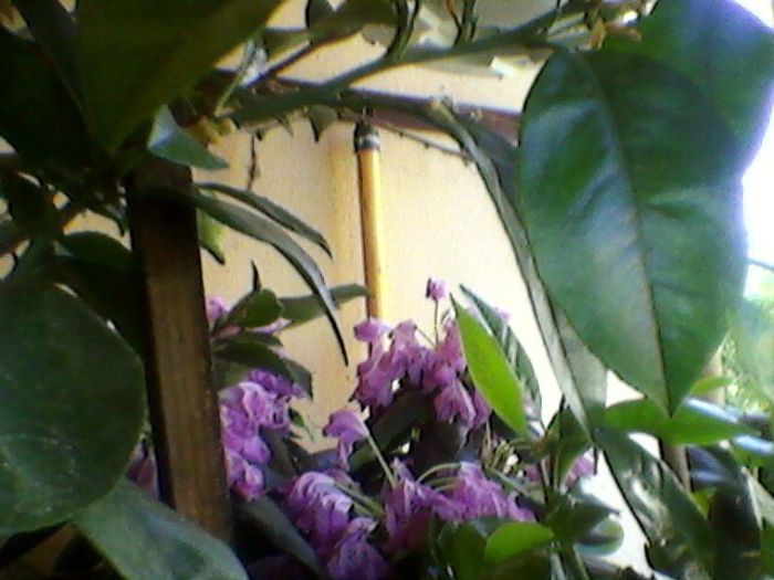 Photo-0180