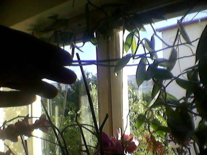 Photo-0181