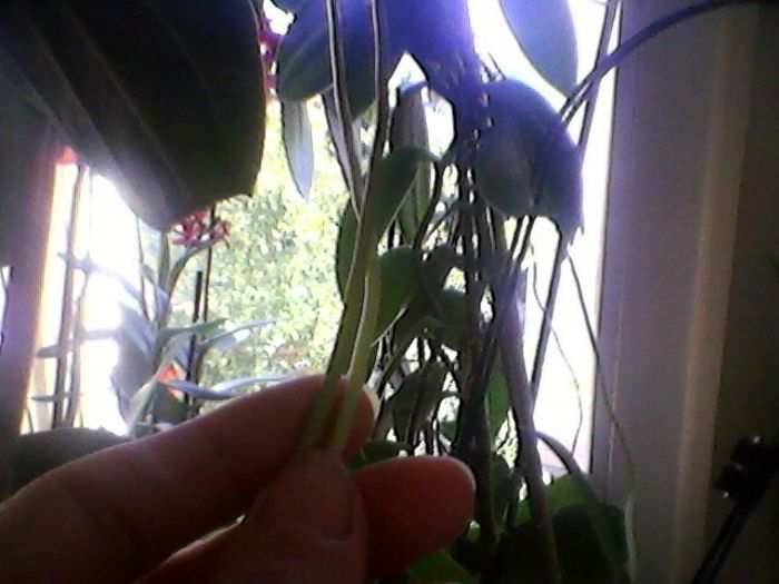 Photo-0182
