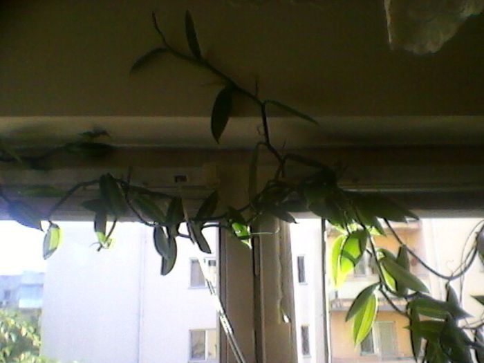 Photo-0183
