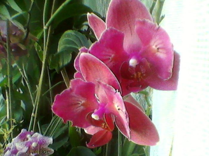 Photo-0104