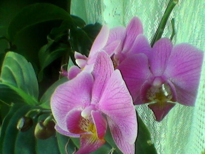 Photo-0105