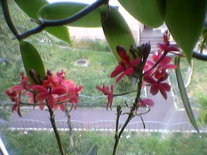 Photo-0109