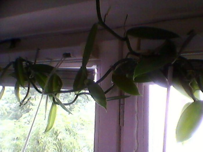 Photo-0113