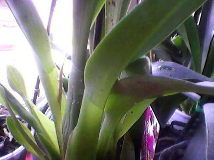 Photo-0115