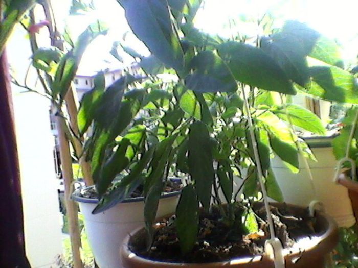 Photo-0144