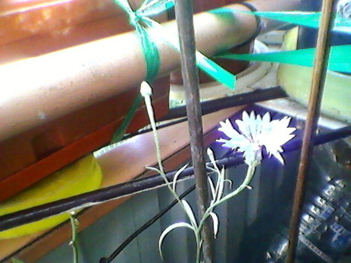 Photo-0146