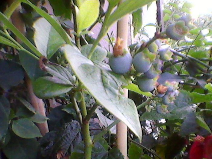 Photo-0198