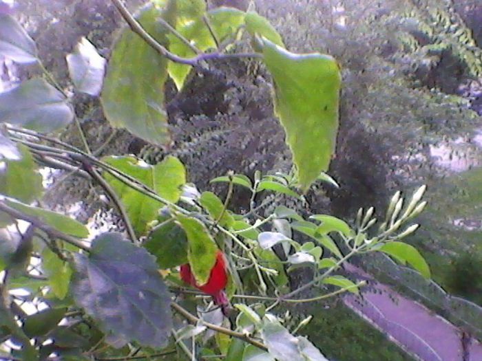 Photo-0202