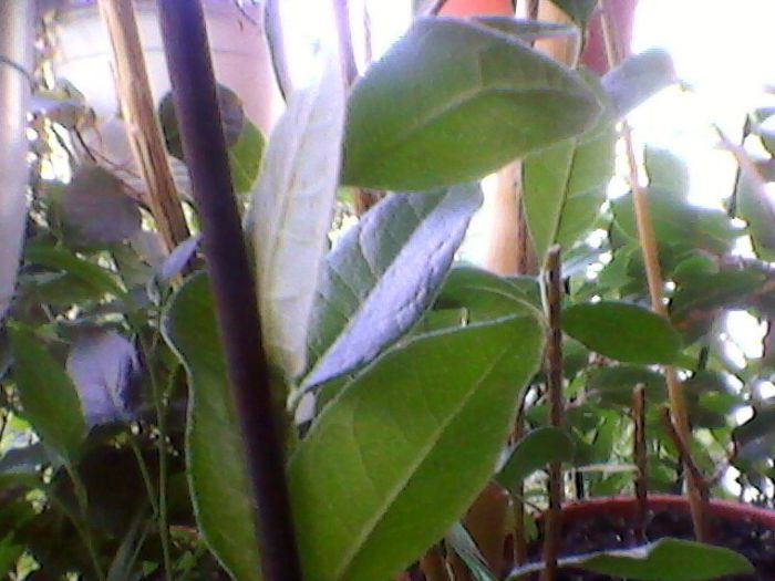 Photo-0215