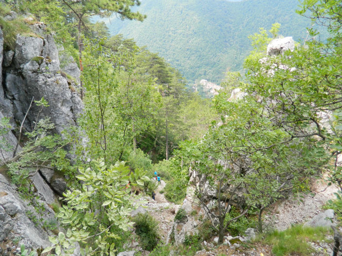 DSCN6264 - 2 HERCULANE VACANTA DE VIS 2013