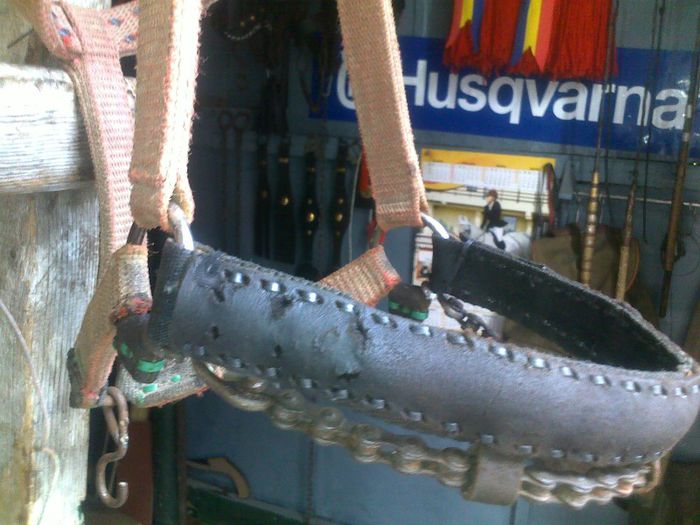 Imag2194 - capastru reparat