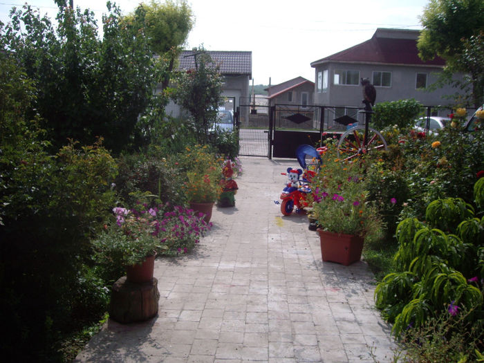 IMGP5282