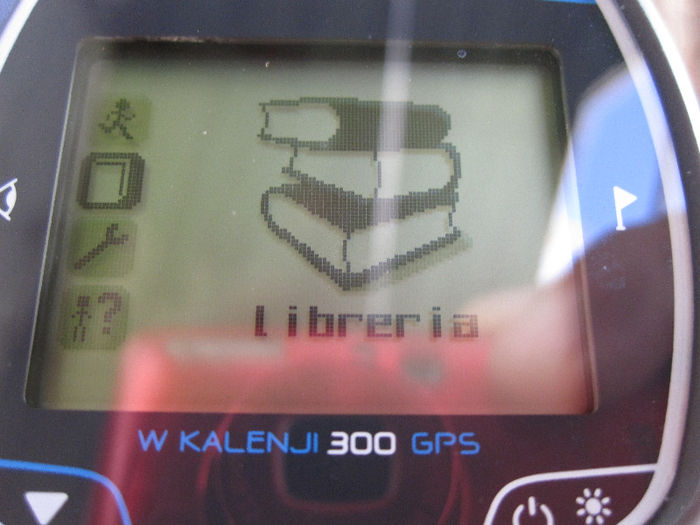 IMG_6581 - W KALENJI 300GPS