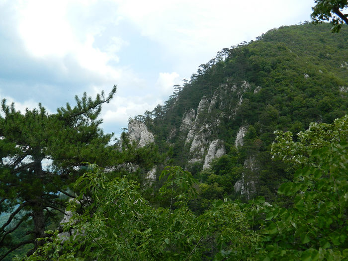 DSCN6315