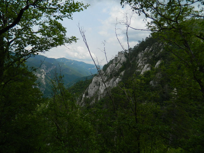 DSCN6324