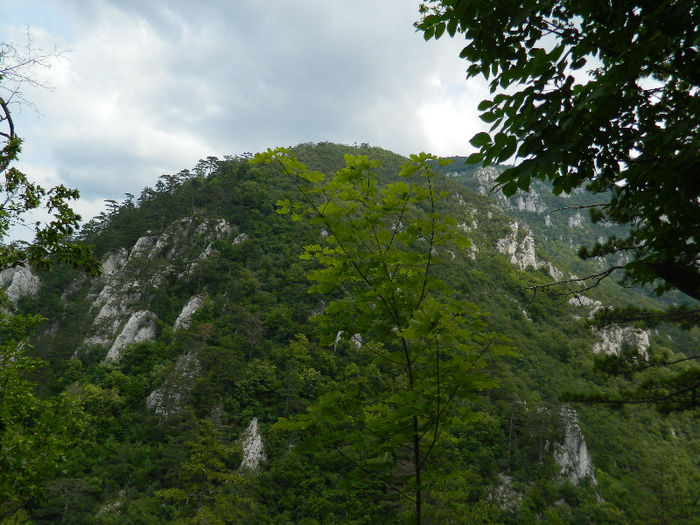 DSCN6325
