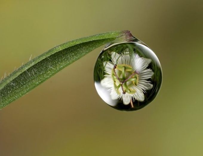 waterdrop_macros - V Amazing