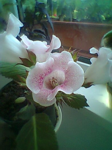 Fotogr.0747