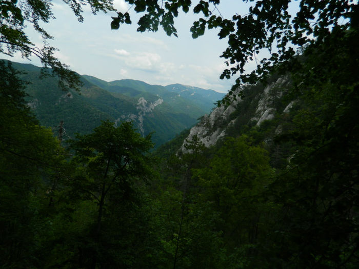 DSCN6337
