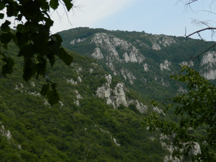 DSCN6382