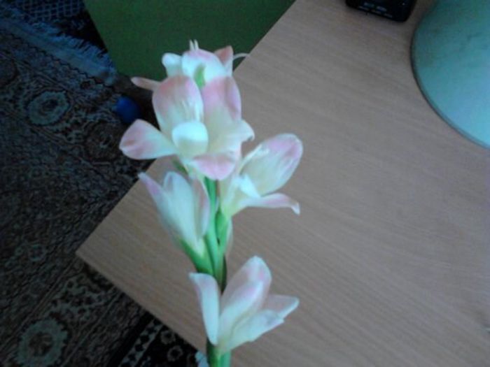 1374909708078 - gladiole