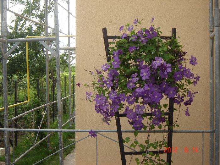 Clematita