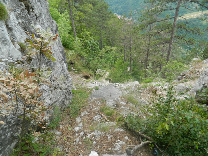 DSCN6432