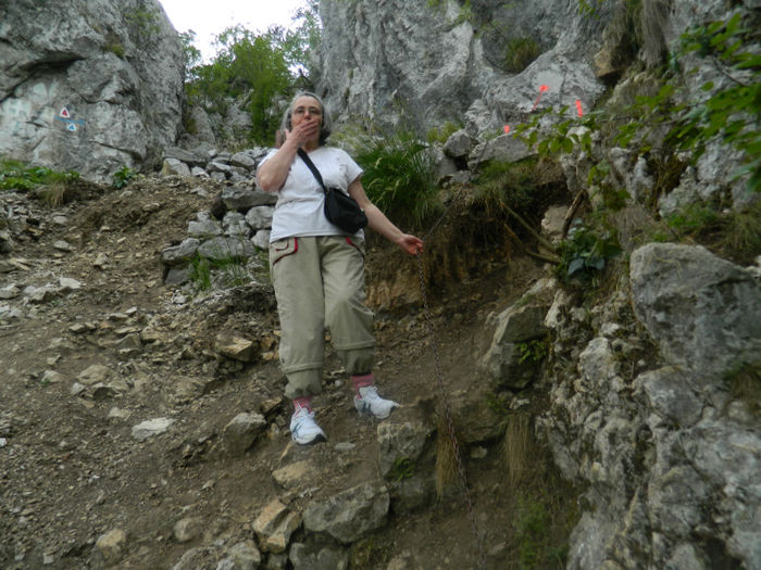 DSCN6443 - 2 HERCULANE VACANTA DE VIS 2013