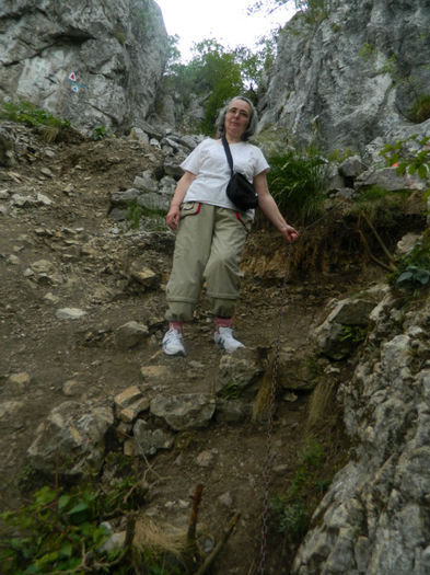 DSCN6444 - 2 HERCULANE VACANTA DE VIS 2013