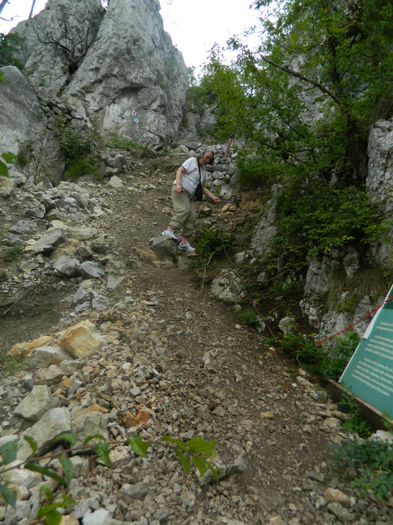 DSCN6446 - 2 HERCULANE VACANTA DE VIS 2013