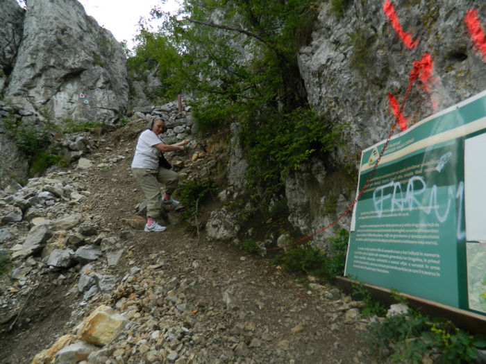 DSCN6447 - 2 HERCULANE VACANTA DE VIS 2013