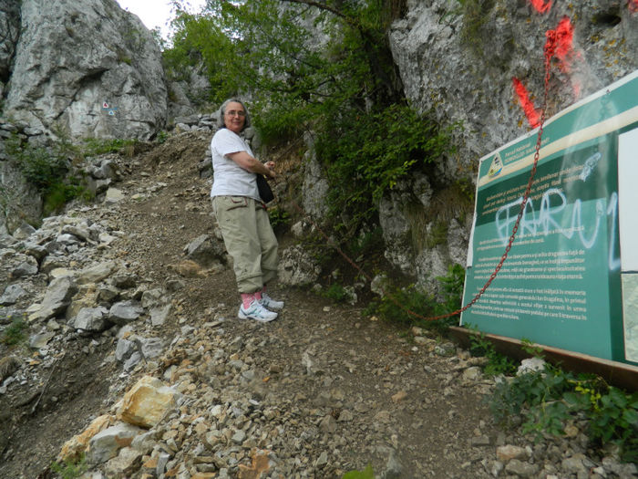 DSCN6448 - 2 HERCULANE VACANTA DE VIS 2013