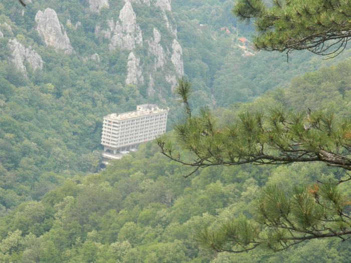 DSCN6475