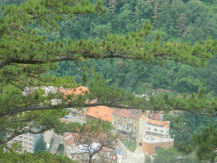 DSCN6476 - 2 HERCULANE VACANTA DE VIS 2013