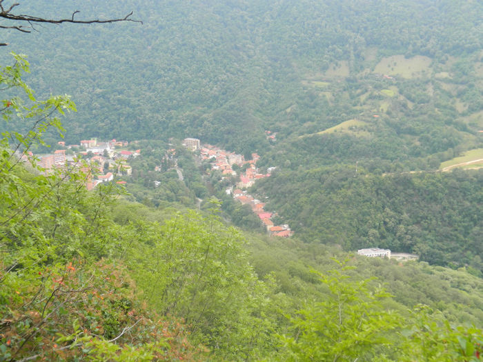 DSCN6487