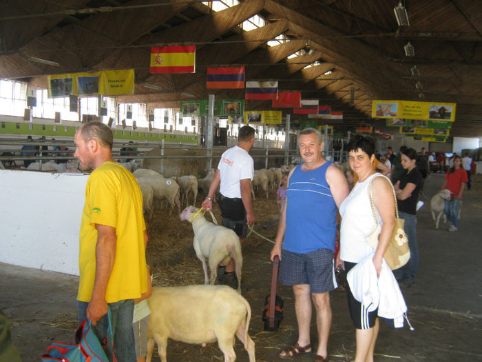 Kocsis Csaba cu sotia la  licitatie