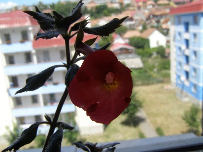 P7210089