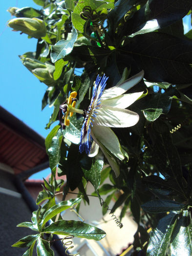 DSC08548