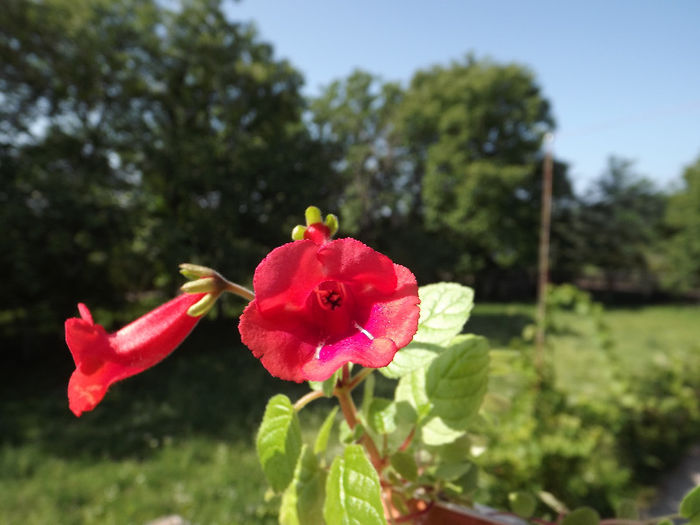 DSCF0769 - SINNINGII