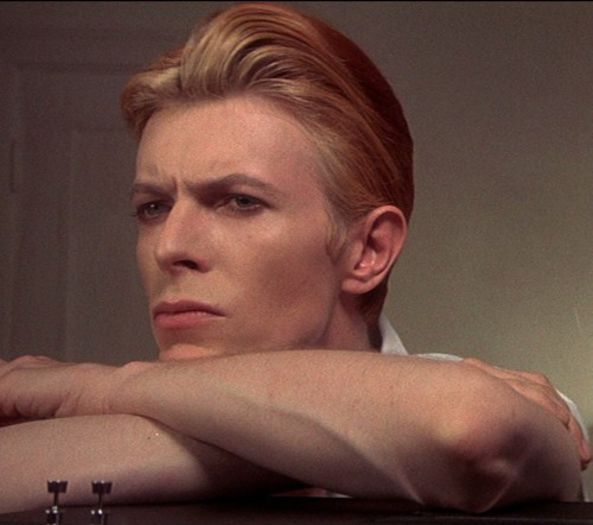 David Bowie