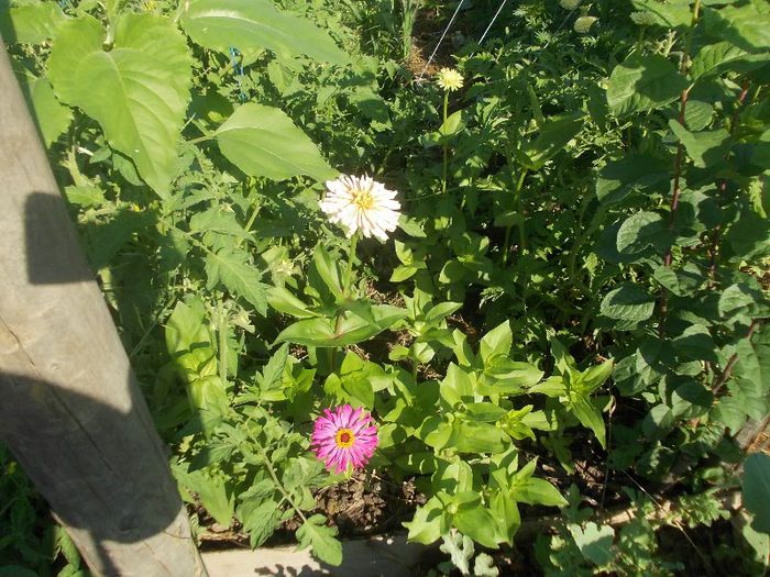 Picture 07 2013 727