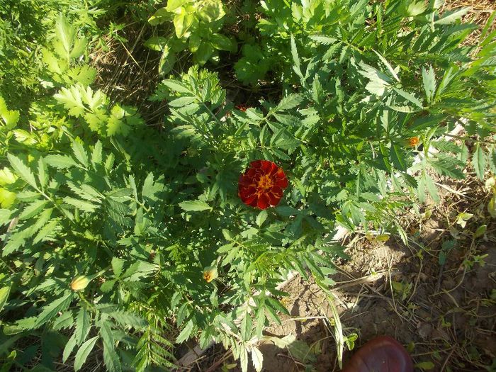 Picture 07 2013 748