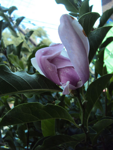 DSC08647