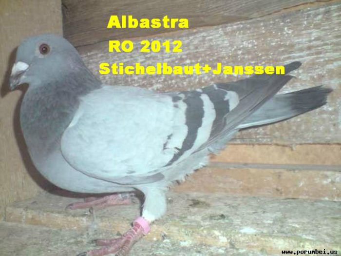 Albastra 2012-...723 - 6-Amintirii