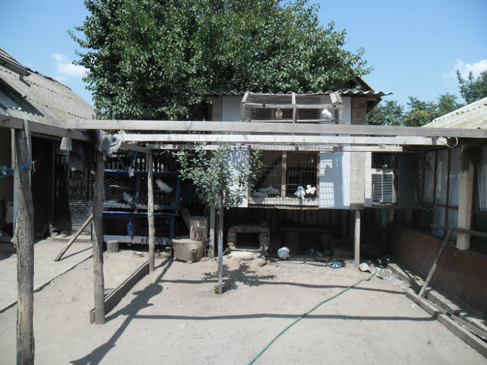 locul unde imi tin porumbeii de ornament