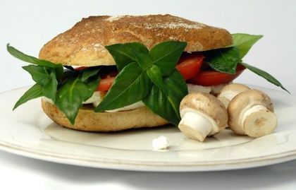 Rungia klossii - 2-de vanzare 2019-2020-SEMINTE IERBURI FOLOSITOARE SI PLANTE MEDICINALE RARE