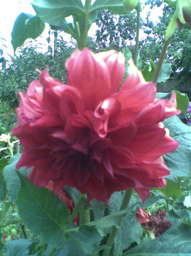 Imag026